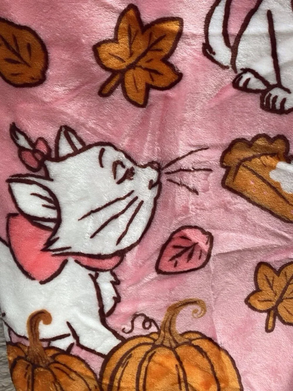 Disney Aristocats Marie Autumn Fall Pumpkins Soft Throw Blanket 50